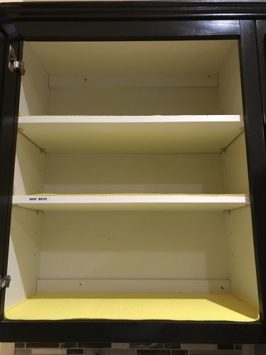 Empty Cabinet